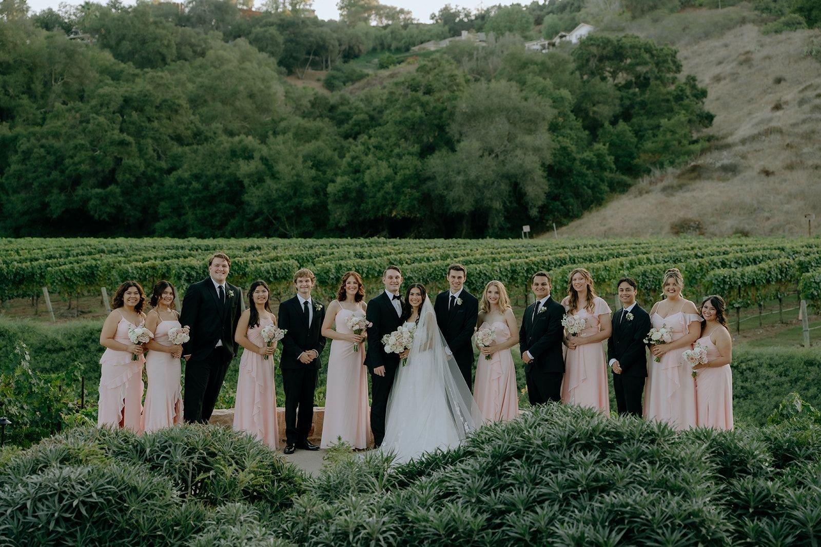 carousel-hero-element image-8