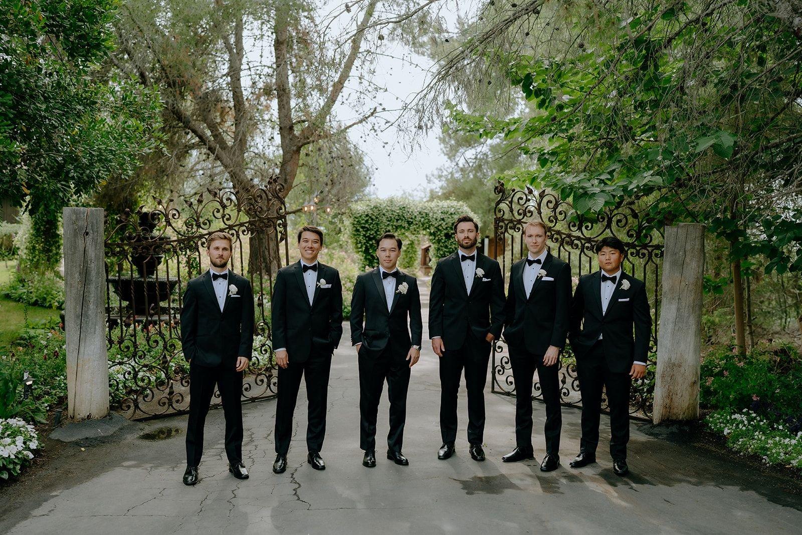 carousel-hero-element image-5