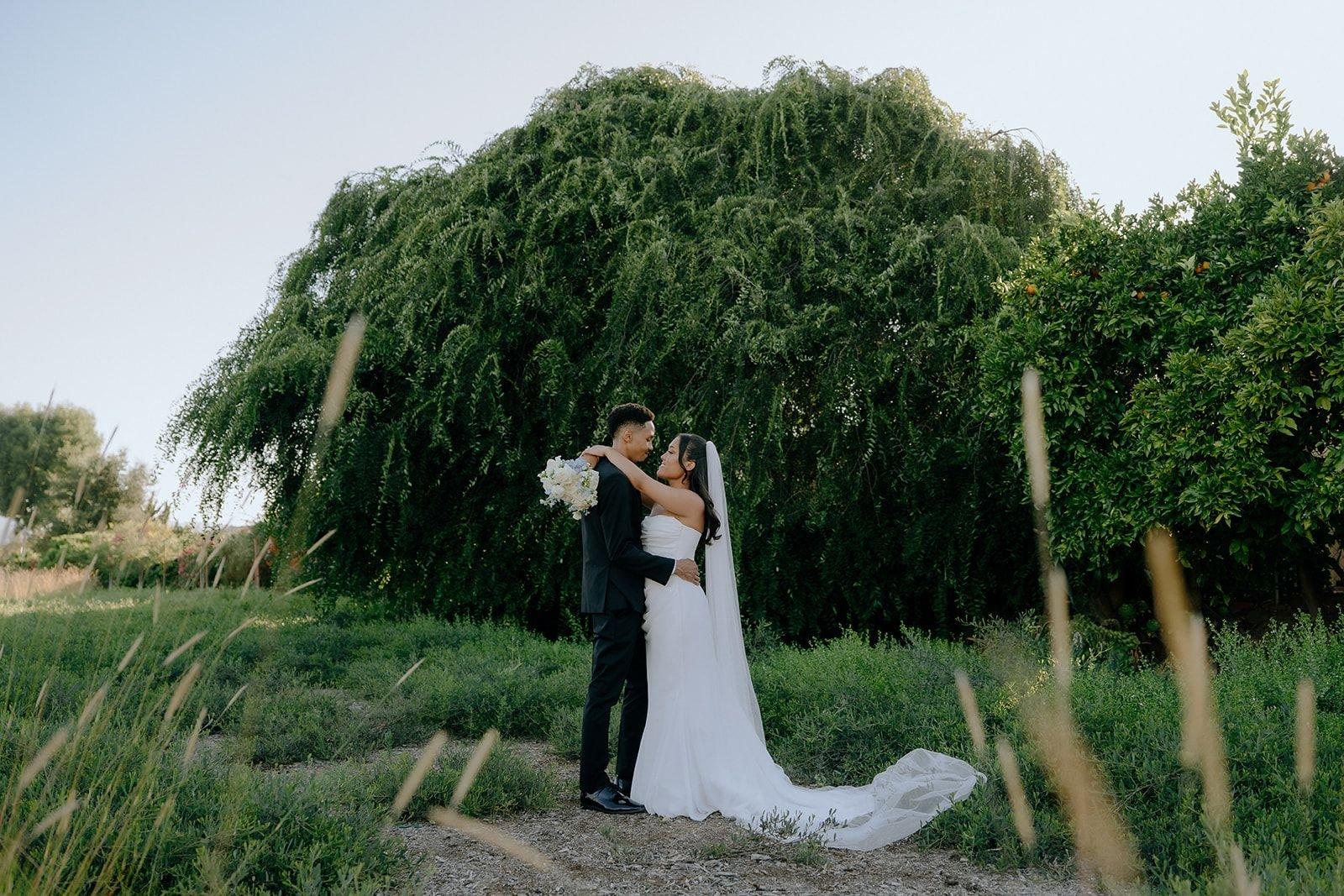 carousel-hero-element image-7